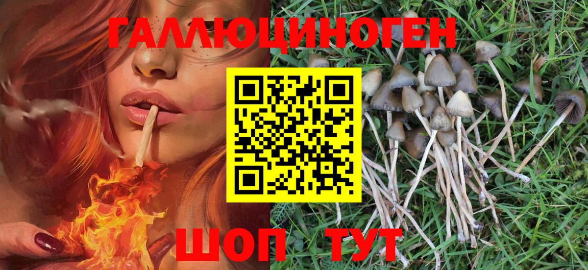 Галлюциногенные грибы Magic Shrooms  Вход с VPN  Сибай 